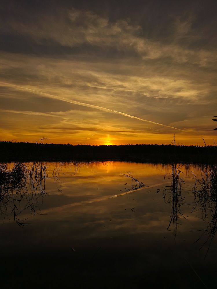 Photograph by Александр Хухлов