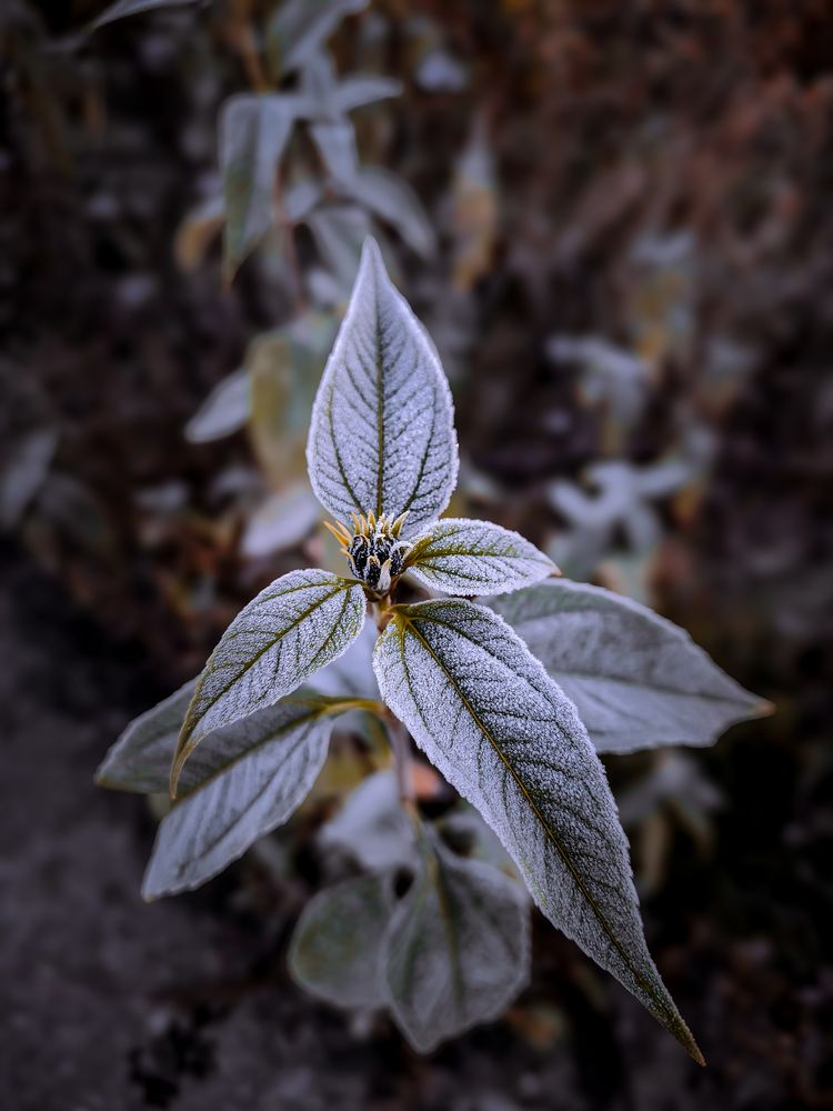 Photograph by Александр Хухлов