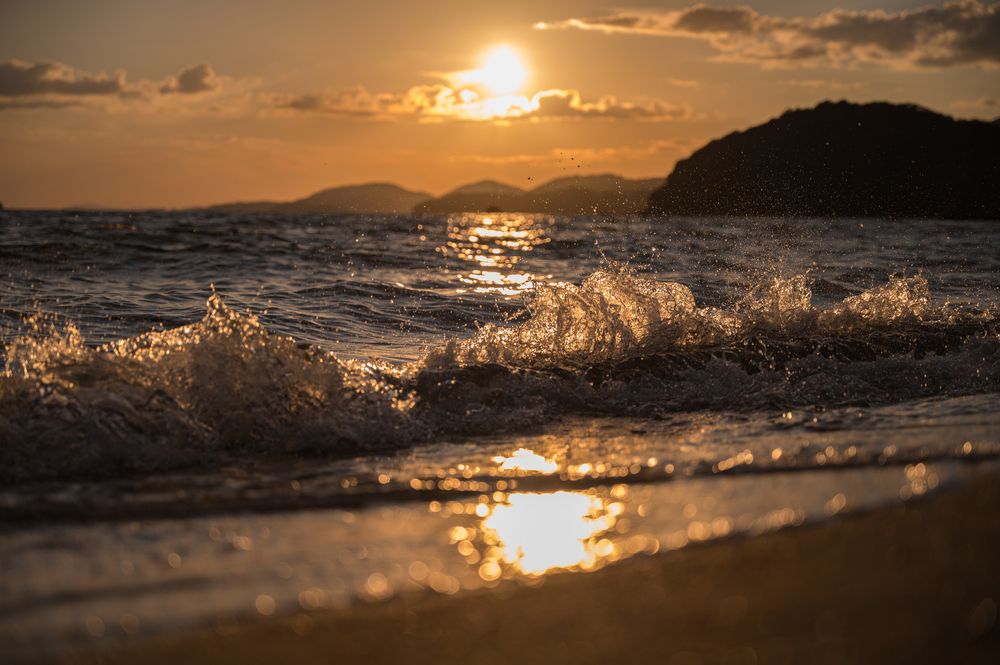 Photograph by KOSHI MASAKI