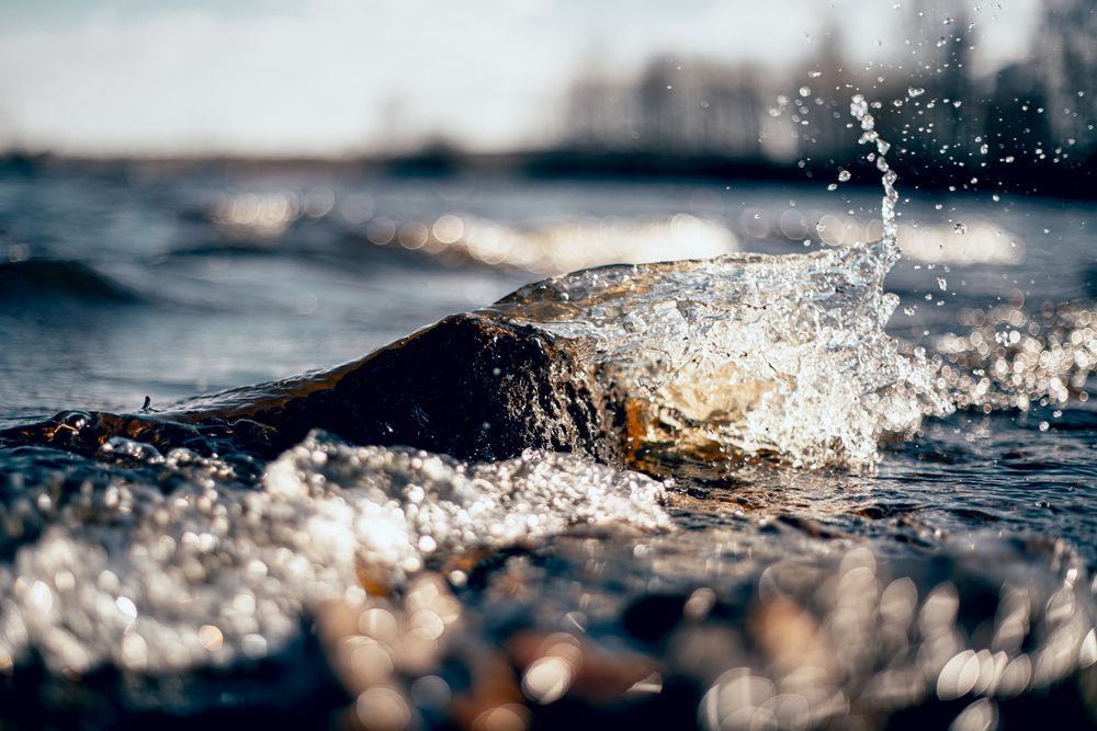 Photograph by Старков Валерий