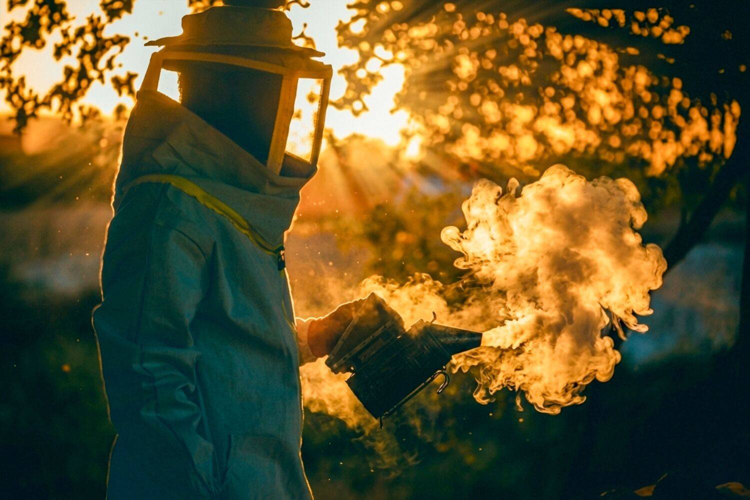 When light whispers… and bees sing