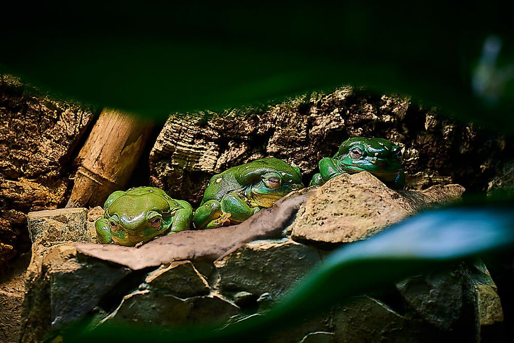 Photograph by Андрей Каёкин