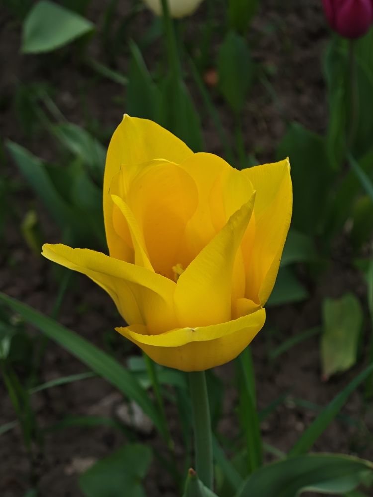 Photograph by Елена Шоколенко