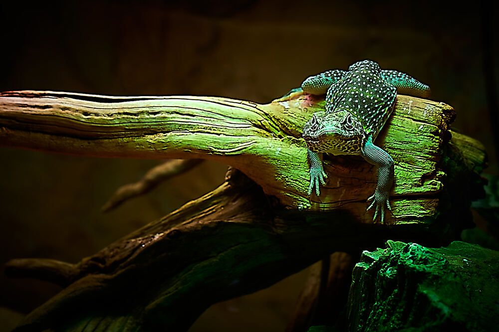 Photograph by Андрей Каёкин