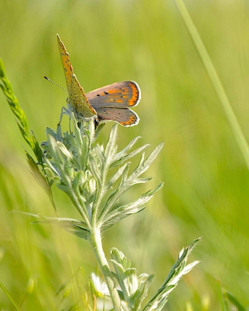 Photograph by Елена Дубовикова