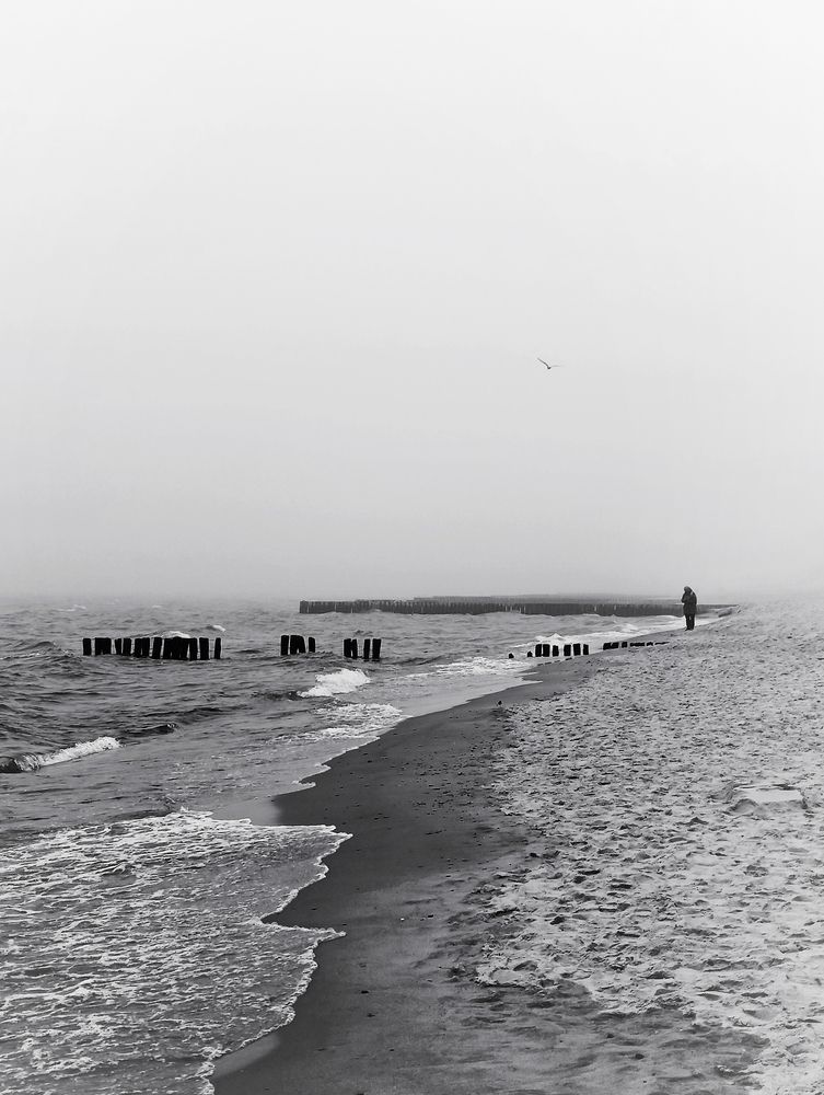 Solitude