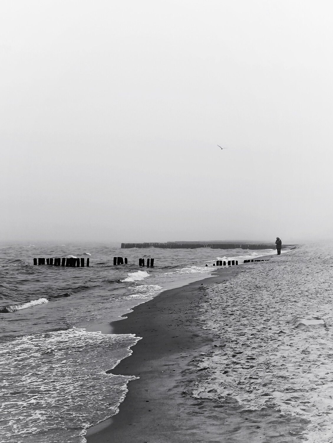 Solitude