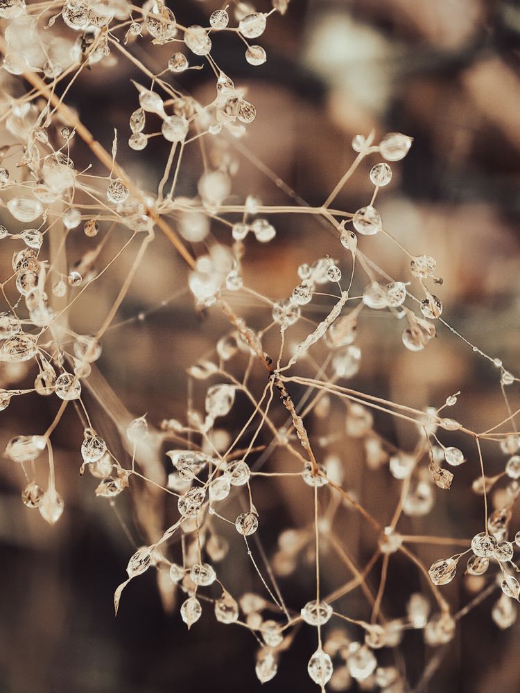 Photograph by Marina Avdeeva