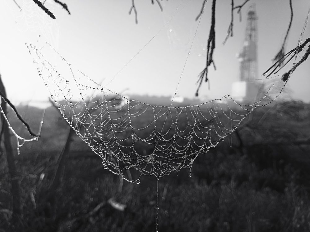 Photograph by Михаил Дронов