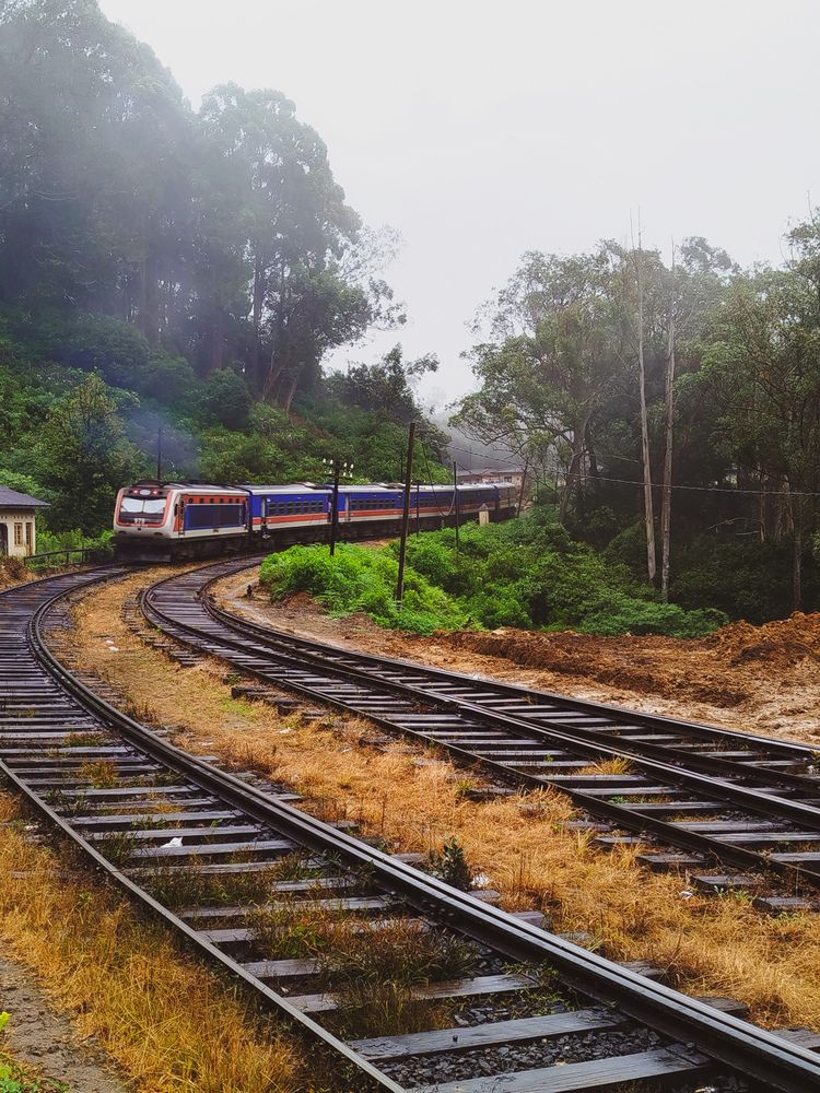 Photograph by Devmin Senevirathna