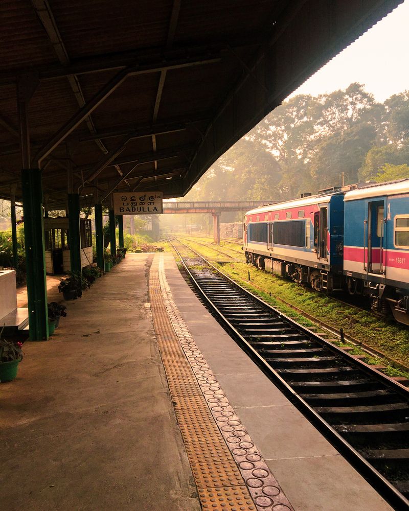 Photograph by Devmin Senevirathna