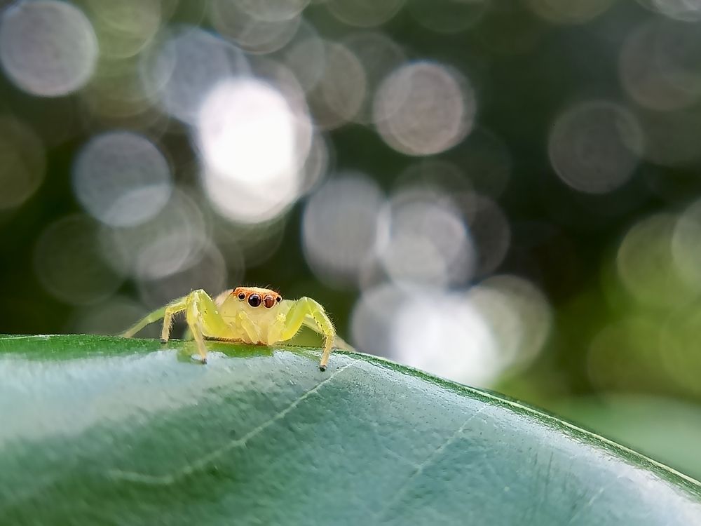 Photograph by Mrinal Saha