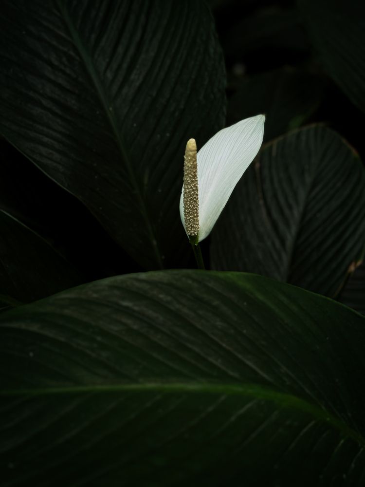 Photograph by Ярослава Васильева