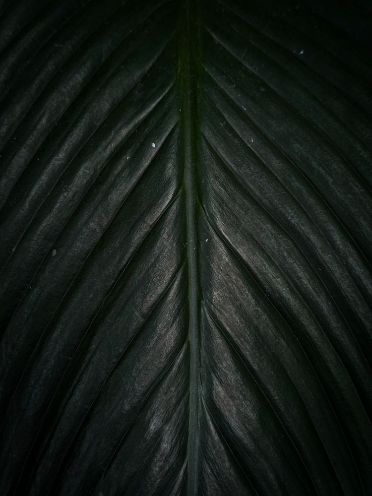 Photograph by Ярослава Васильева