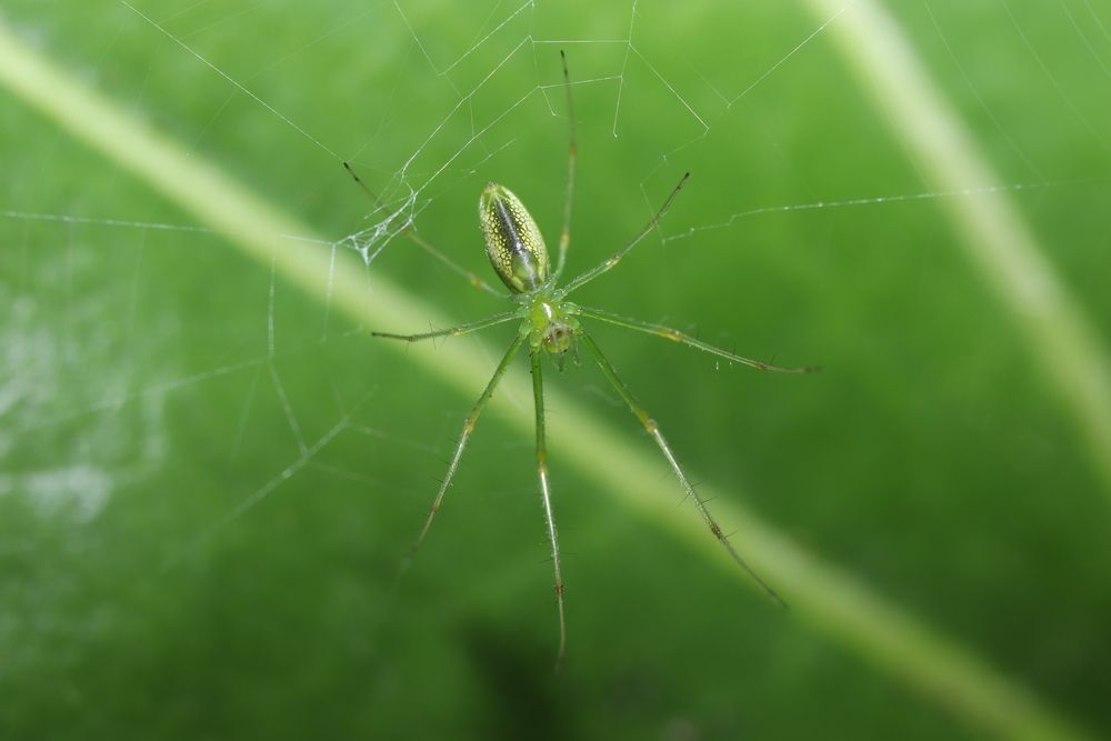 Photograph by Se Lena