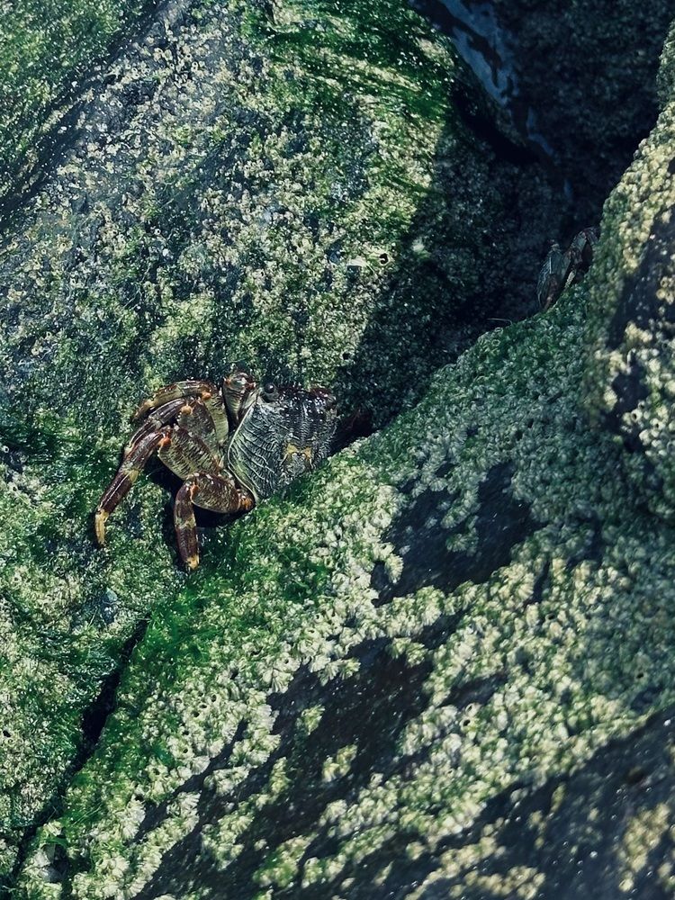 Photograph by Ксения Гулькова