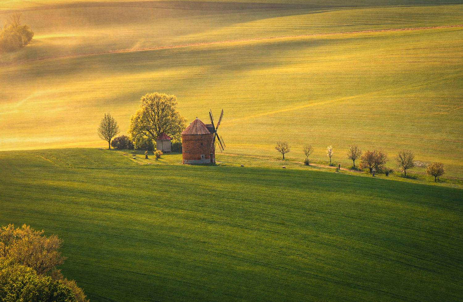 Windmill