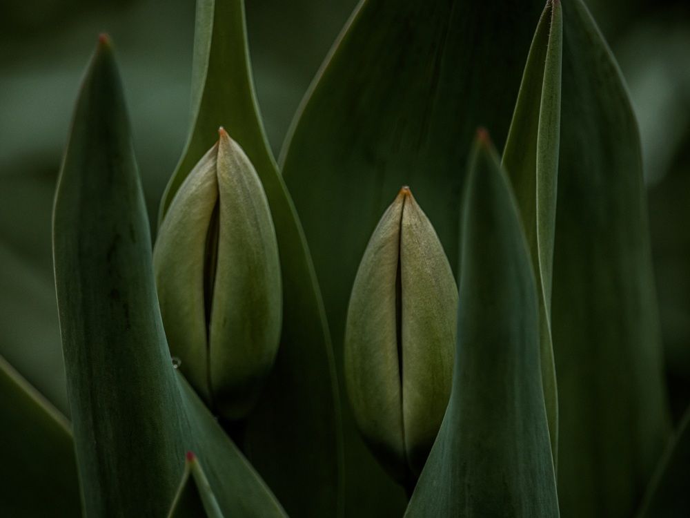Photograph by Кабанов Игорь