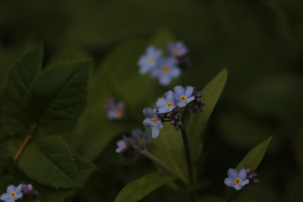Photograph by Екатерина Александровна