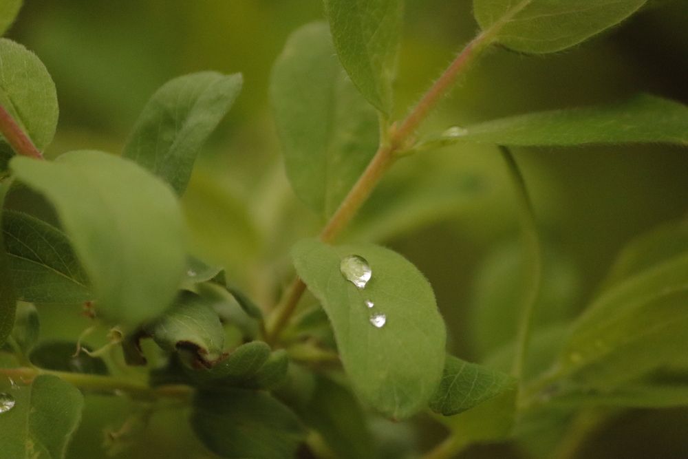 Photograph by Екатерина Александровна