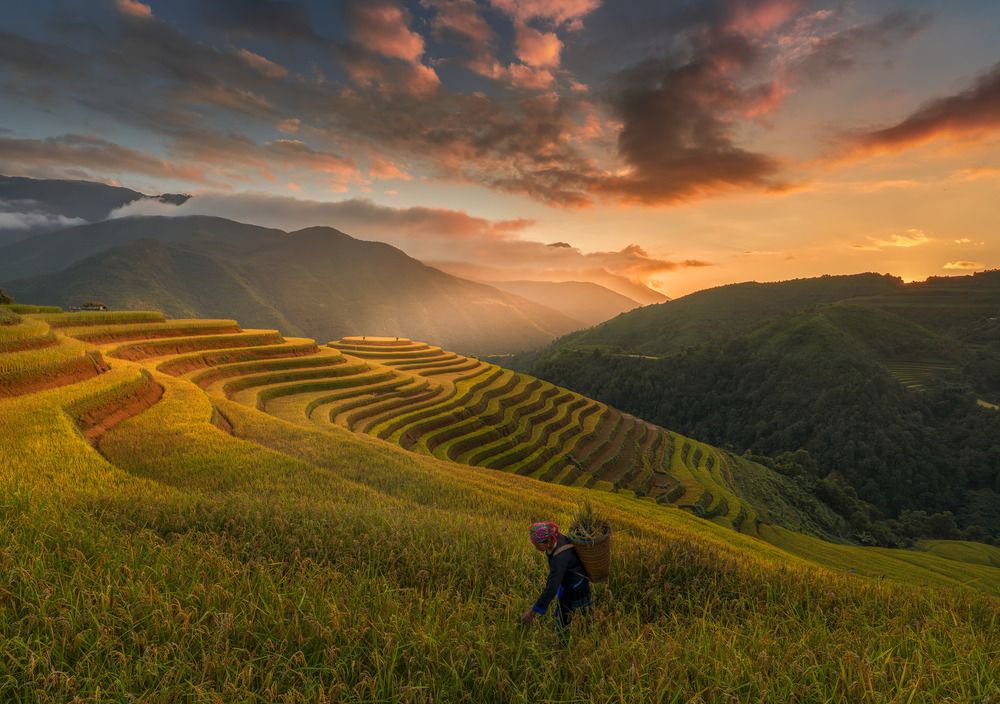 Photograph by Tran Linh