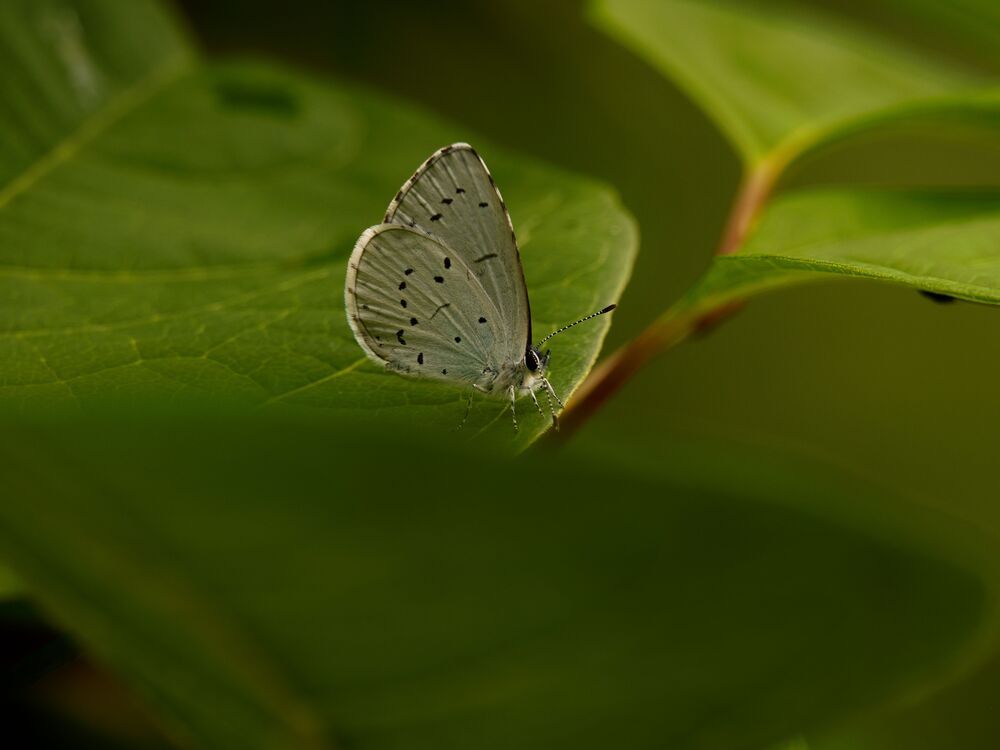 Photograph by Jaroslav Hanzalík