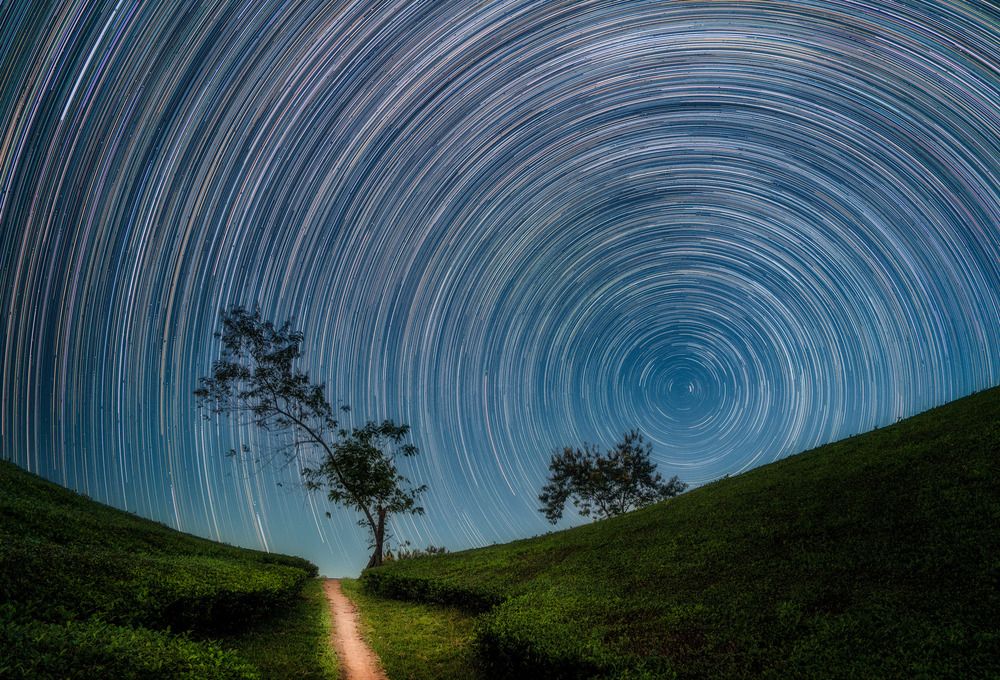 Photograph by Tran Linh