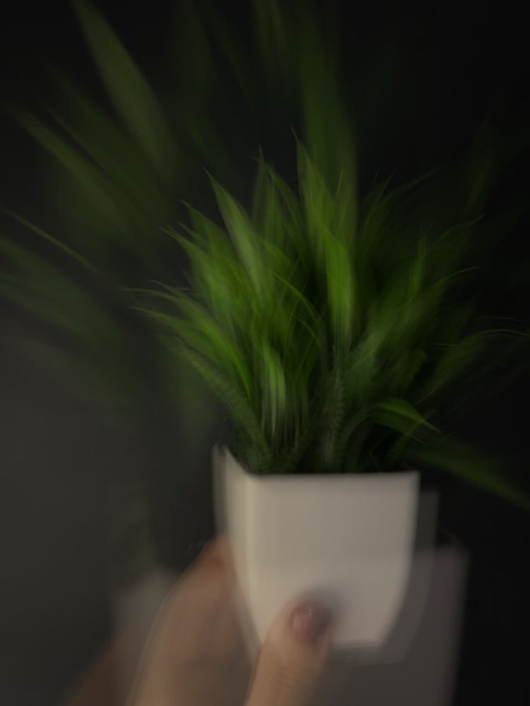 Photograph by Оксана Захарова