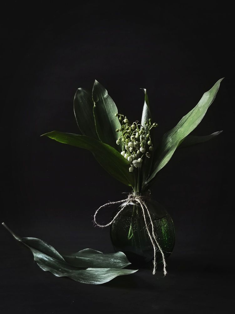 Photograph by Анна Якубинас