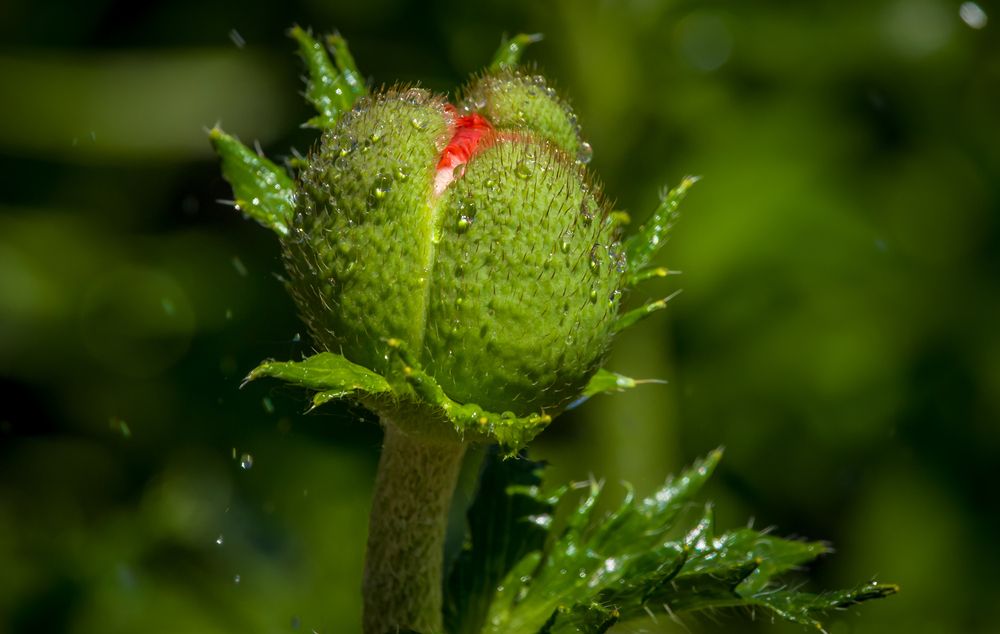 Photograph by Владимир Говоров