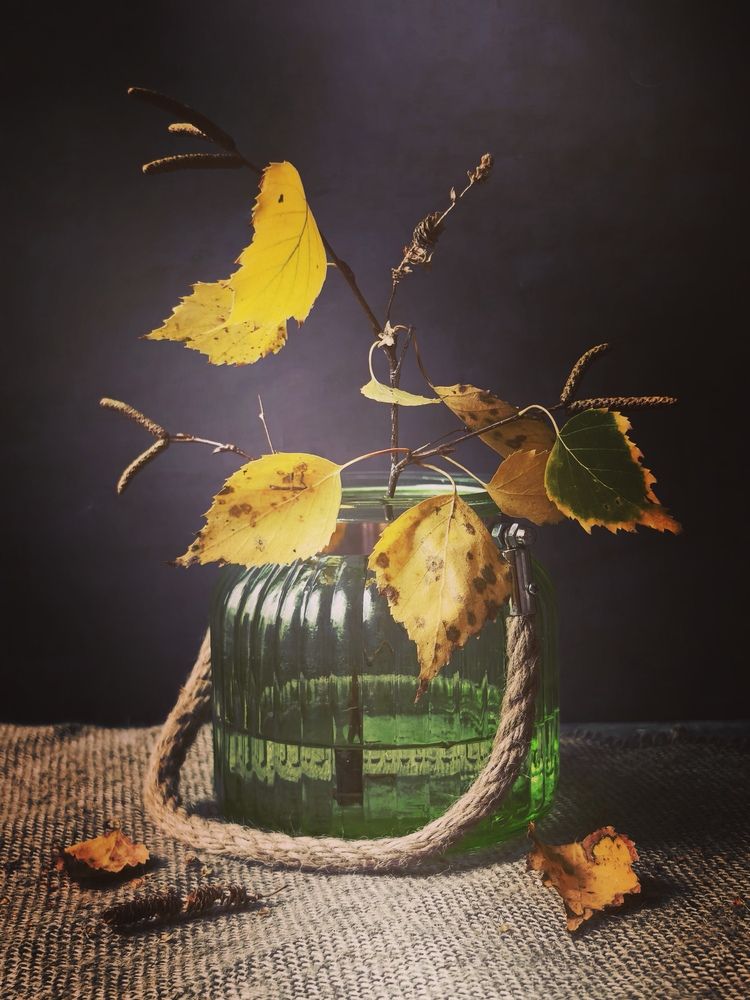 Photograph by Анна Якубинас