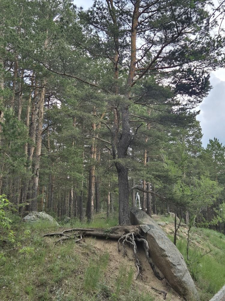 Photograph by Валентина