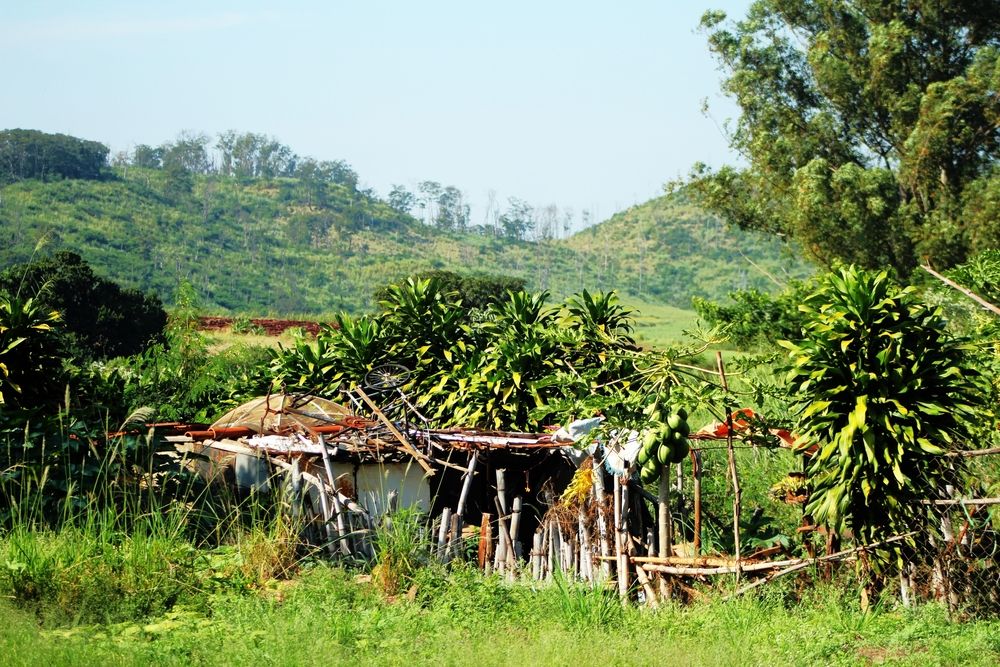 Photograph by Régis Santos