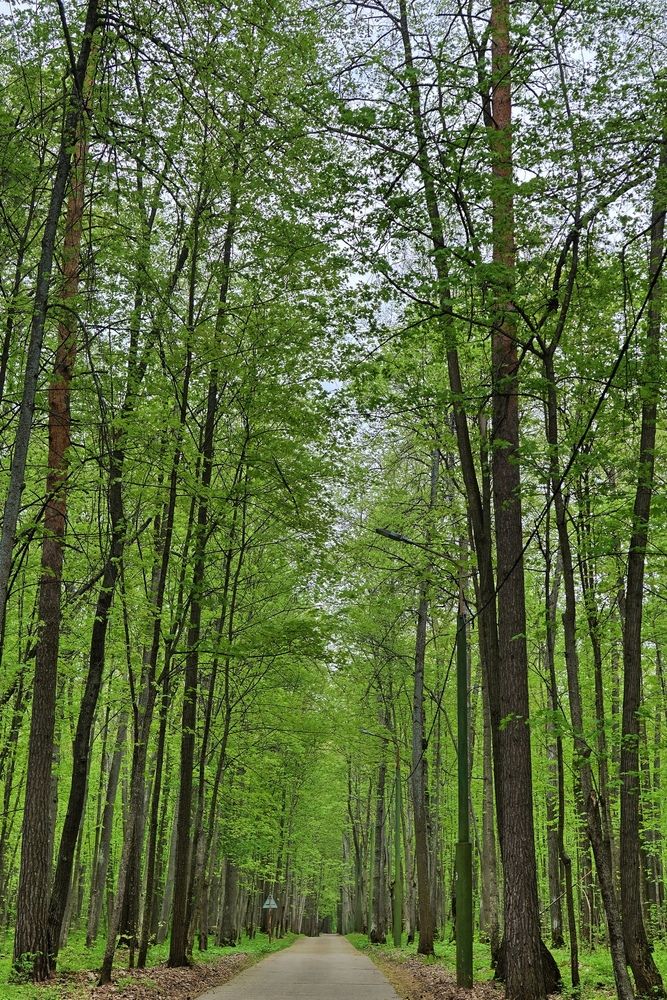 Photograph by Серёга Ануфриев