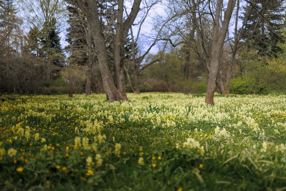 Photograph by Анна Васильева