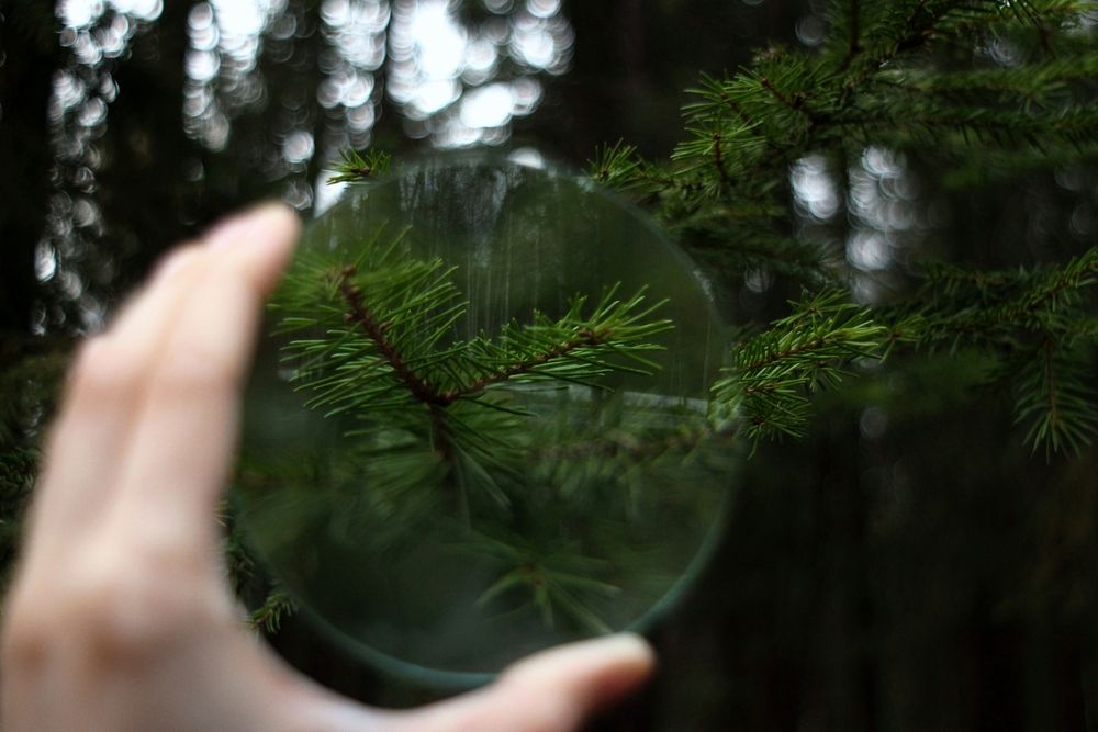 Photograph by Екатерина Солохина