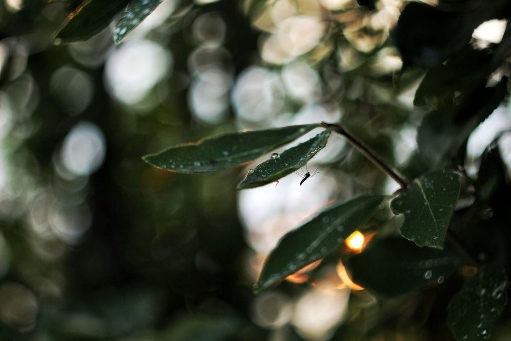 Photograph by Екатерина Солохина