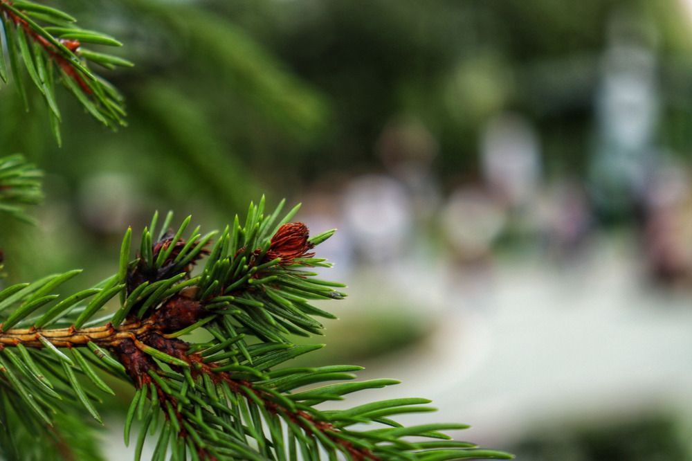Photograph by Влада Семёнова