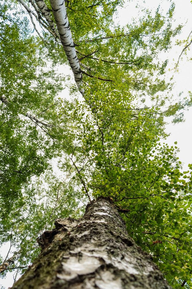 Photograph by Влада Семёнова