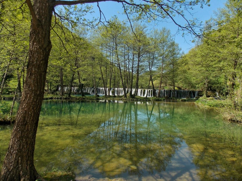 Photograph by Dragoslav Macanović
