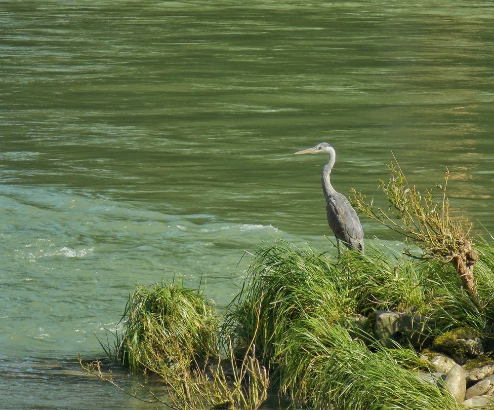 Photograph by Dragoslav Macanović