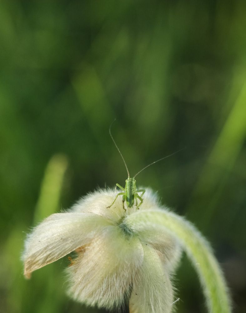 Photograph by Екатерина Великанова