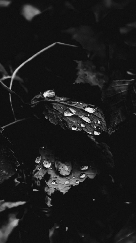 Photograph by Старков Валерий