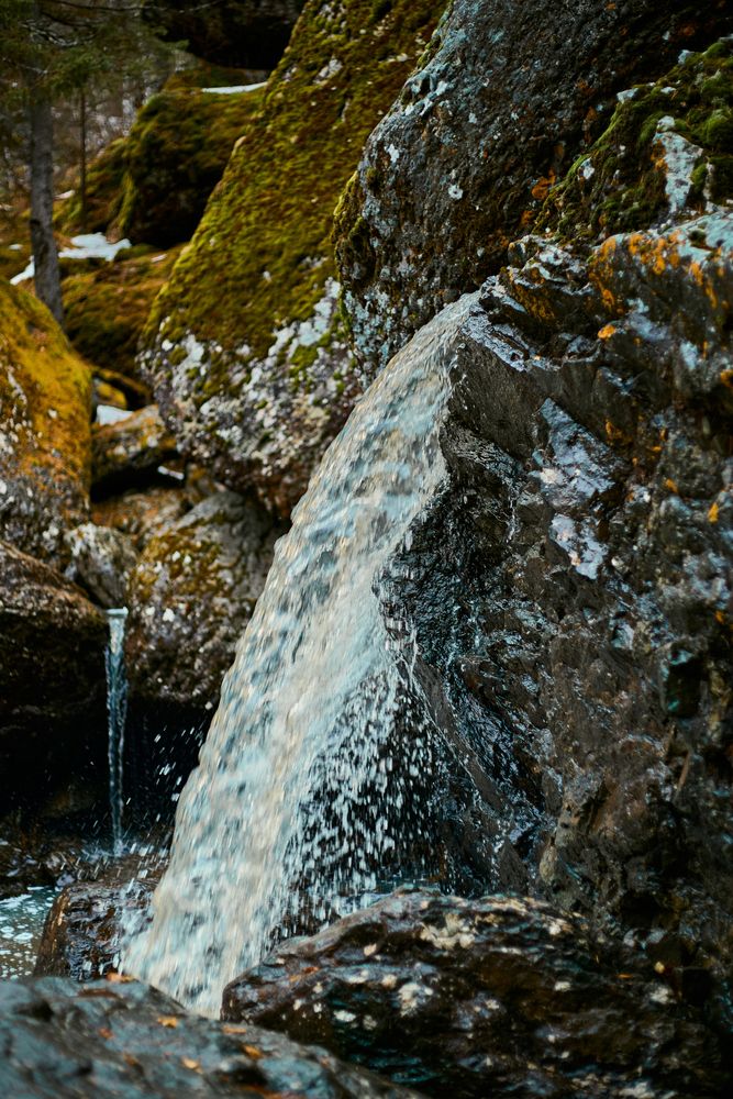 Photograph by Старков Валерий