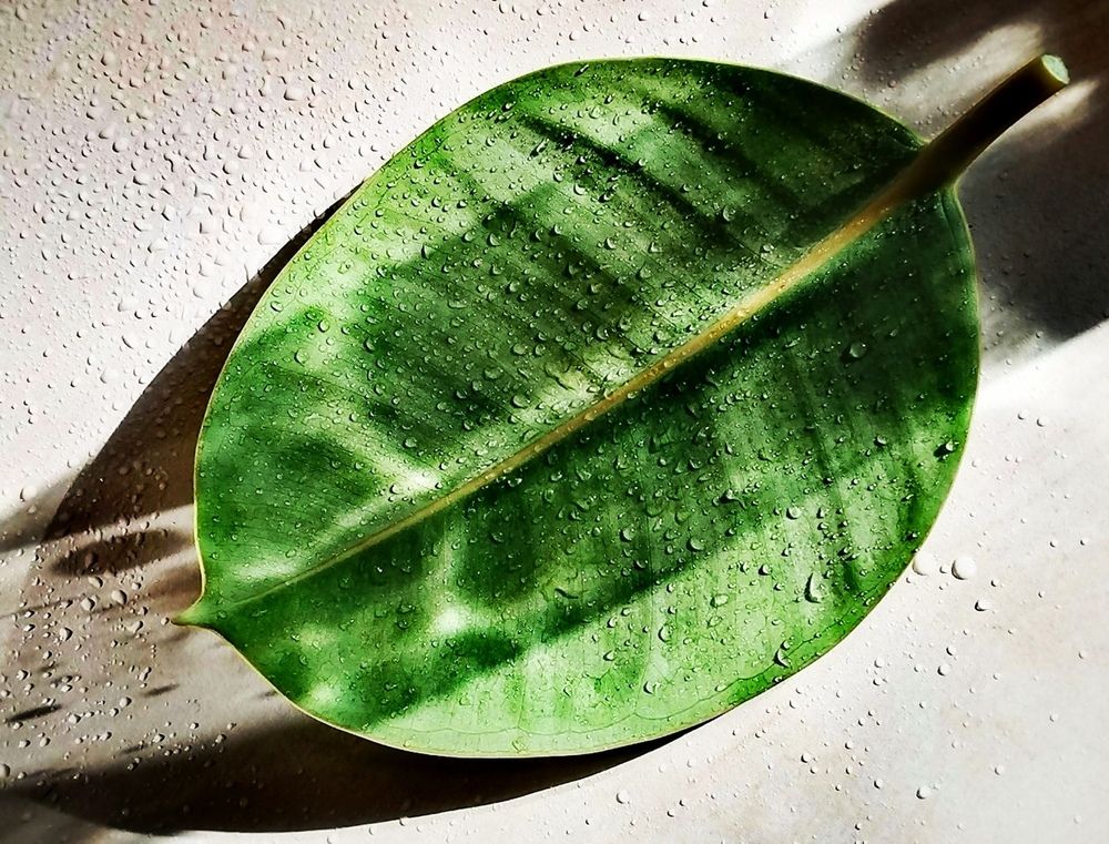 Photograph by Елена Эйнова