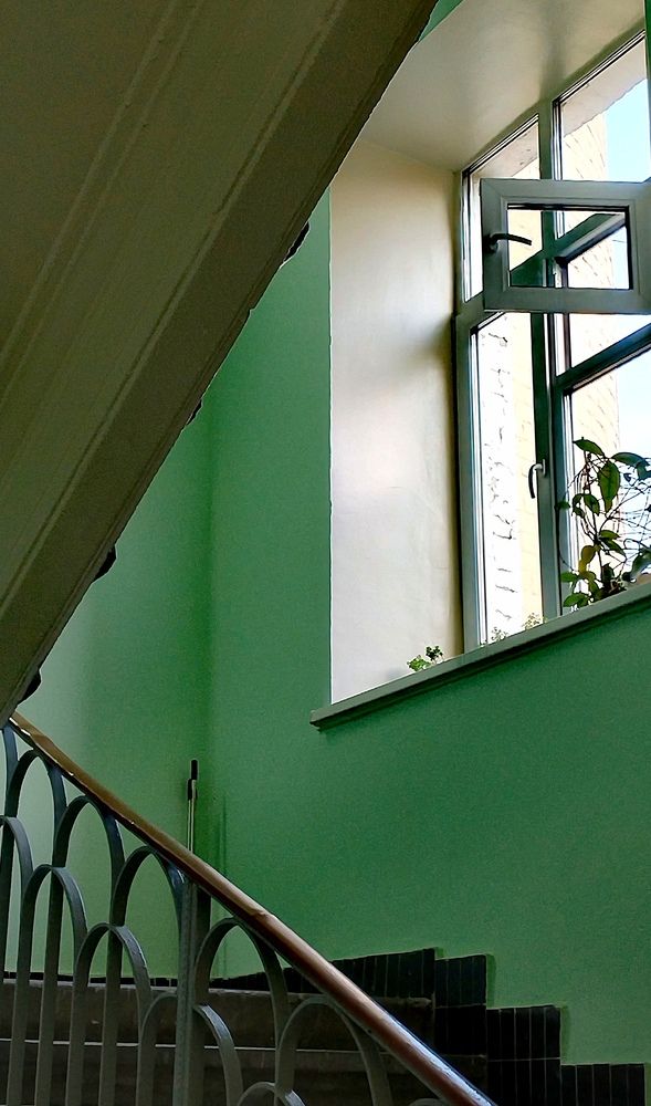 Photo #13589272