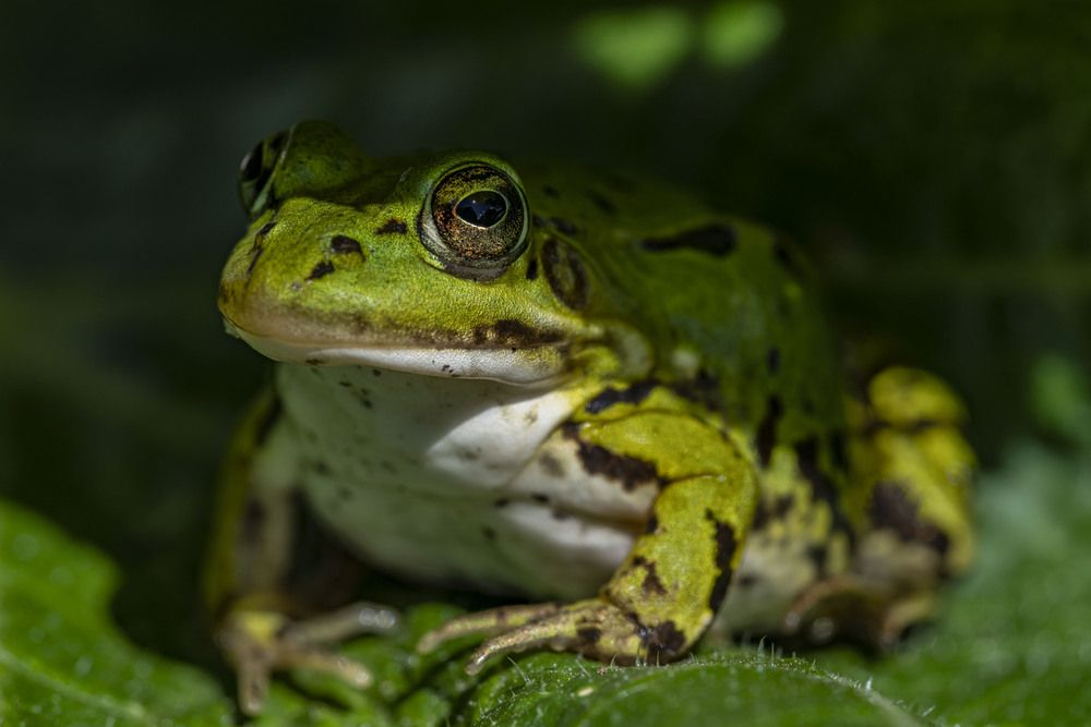 Photograph by Сергей Чупахин