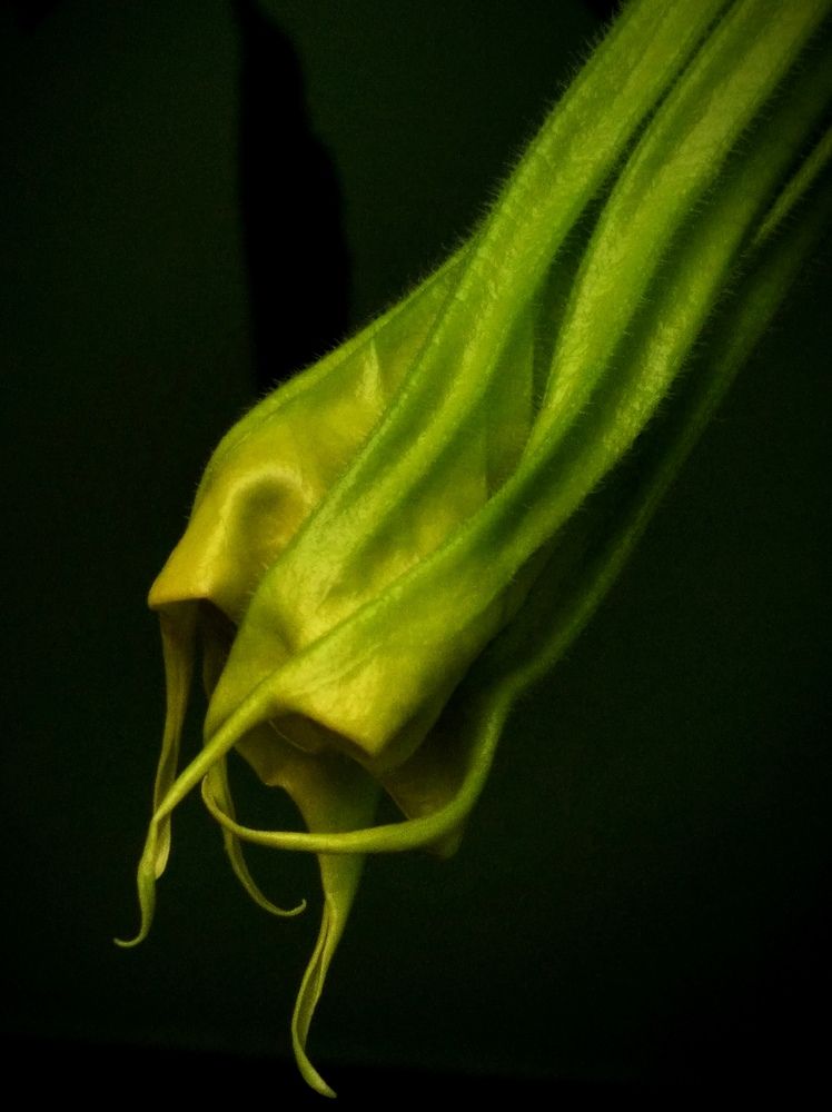 Photograph by Елена Эйнова