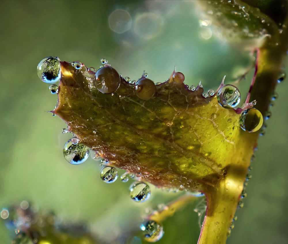 Photograph by Наталья Соколова