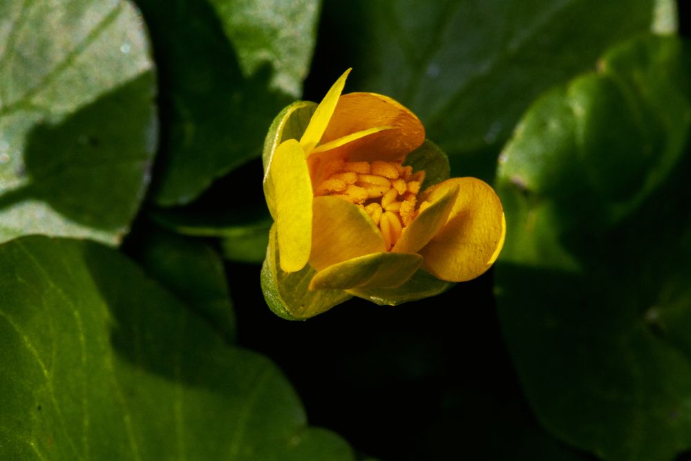 Photograph by Данил Варапаев